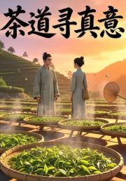 茶道寻真意